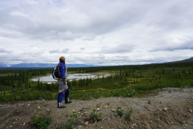 Denali Highway