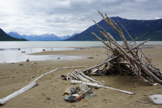 Hike along the beach near Carcross