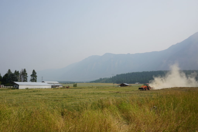 Farm stay in Idaho