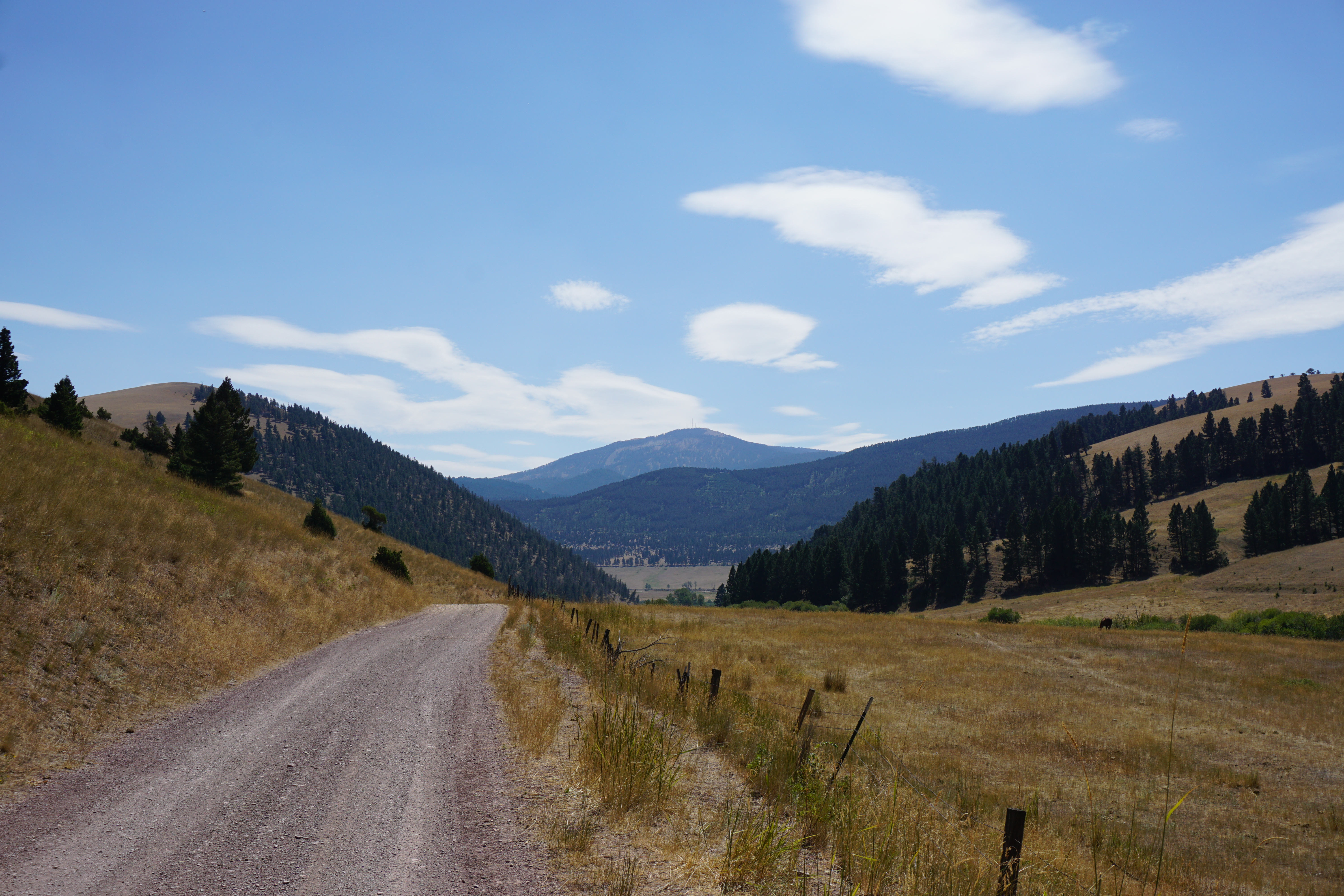 Continental Divide Trail, Montana