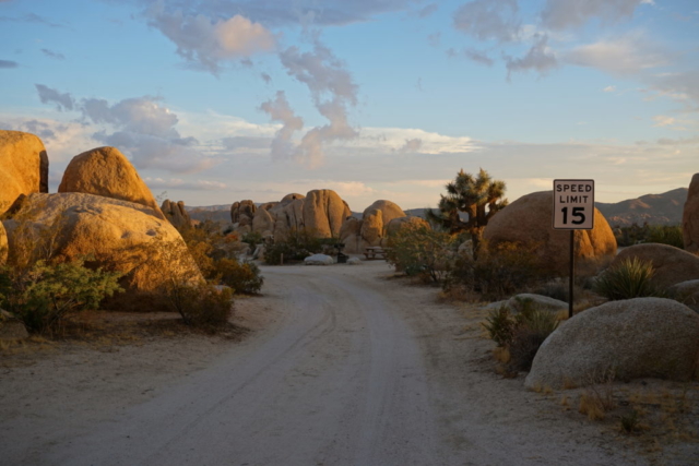 Joshua Tree National Park