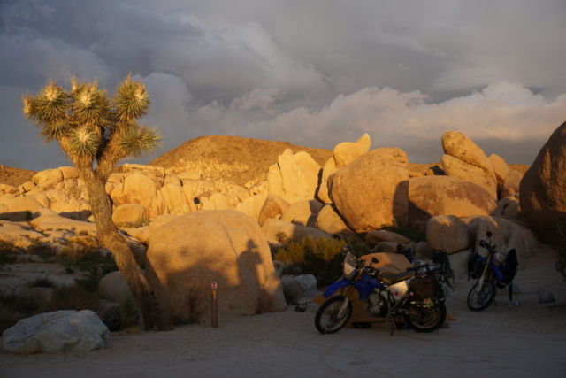 Joshua Tree National Park