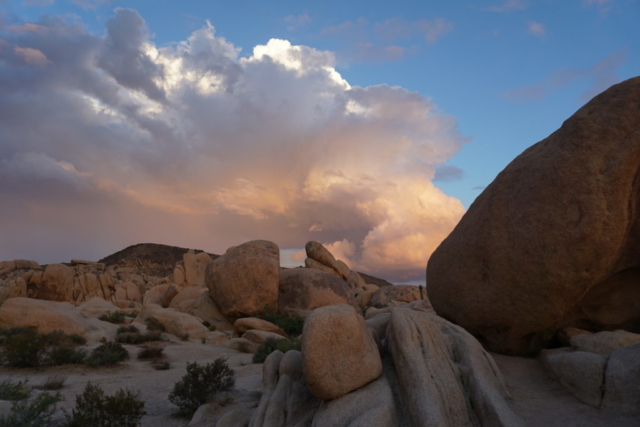 Joshua Tree National Park