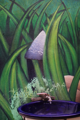 Mushroom heaven in San Jose del Pacifico