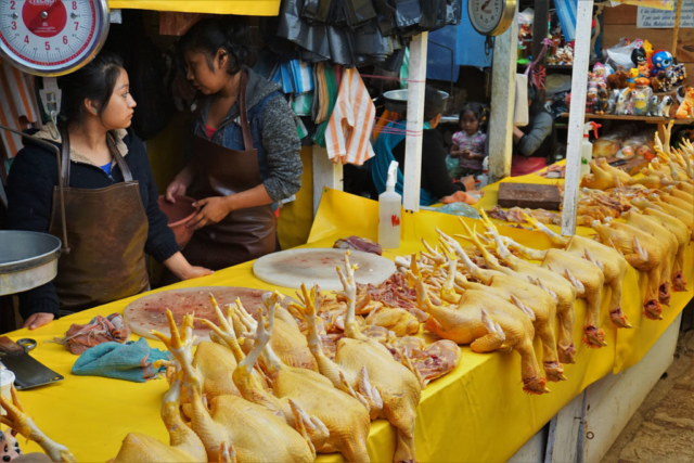 Poor chickens at the local market in San Cristobal