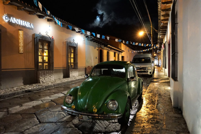 Lovely beetle at night