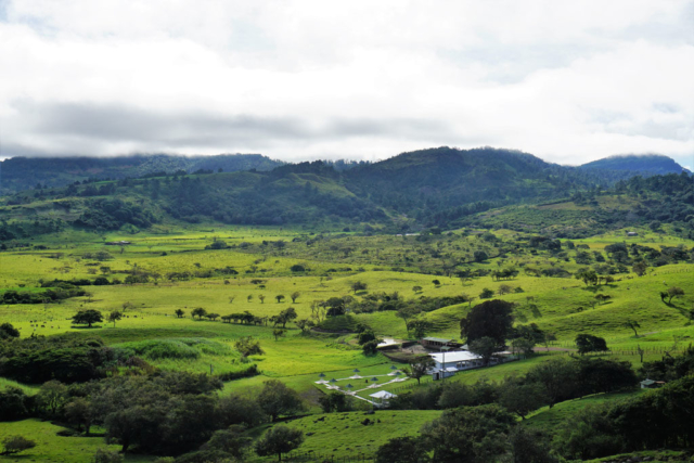 Honduras